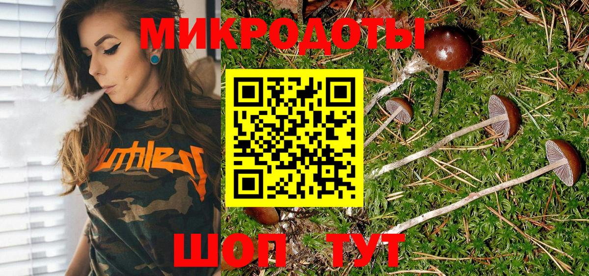 Галлюциногенные грибы Psilocybine cubensis Октябрьский
