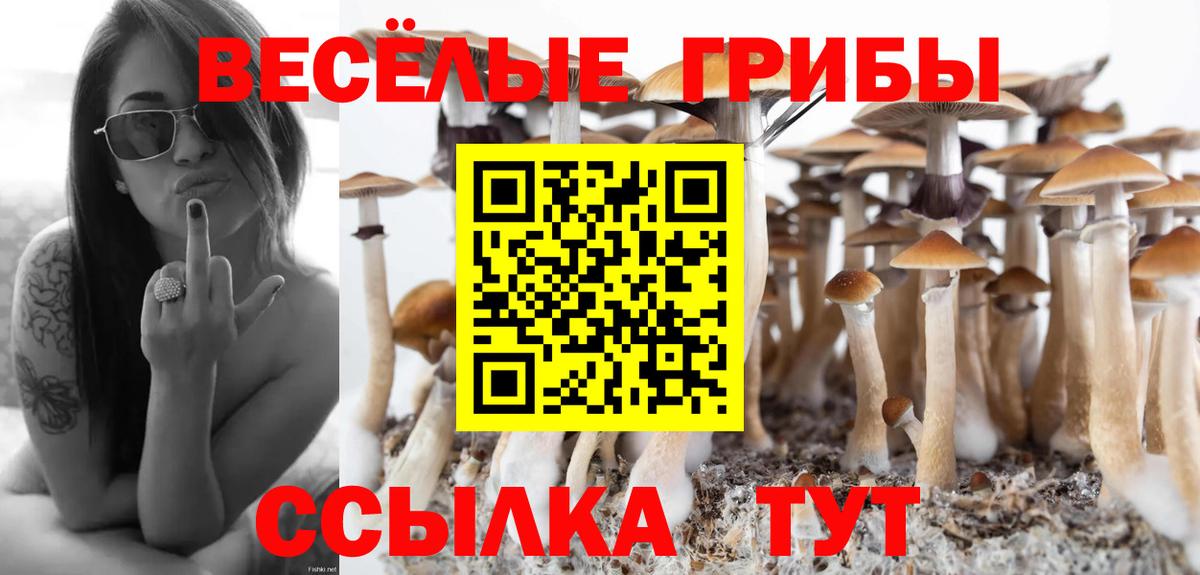 Галлюциногенные грибы GOLDEN TEACHER  Галлюциногенные грибы ЛСД  Вход с VPN  Октябрьский 